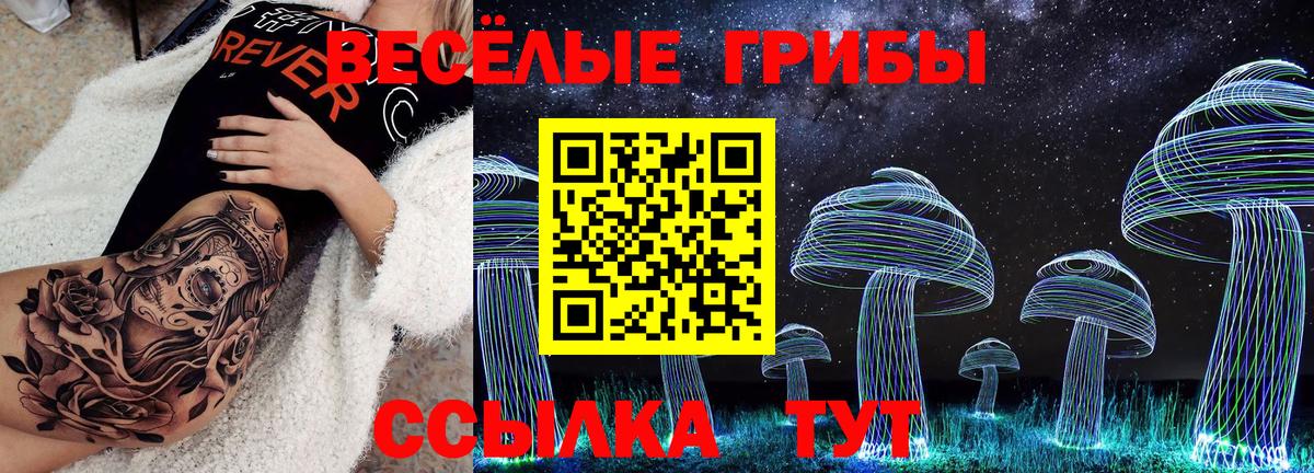 Галлюциногенные грибы Psilocybine cubensis Лениногорск