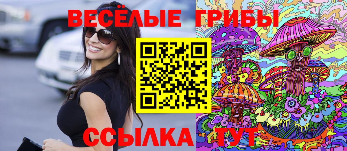 Псилоцибиновые грибы мицелий  Вход с VPN  Лениногорск 
